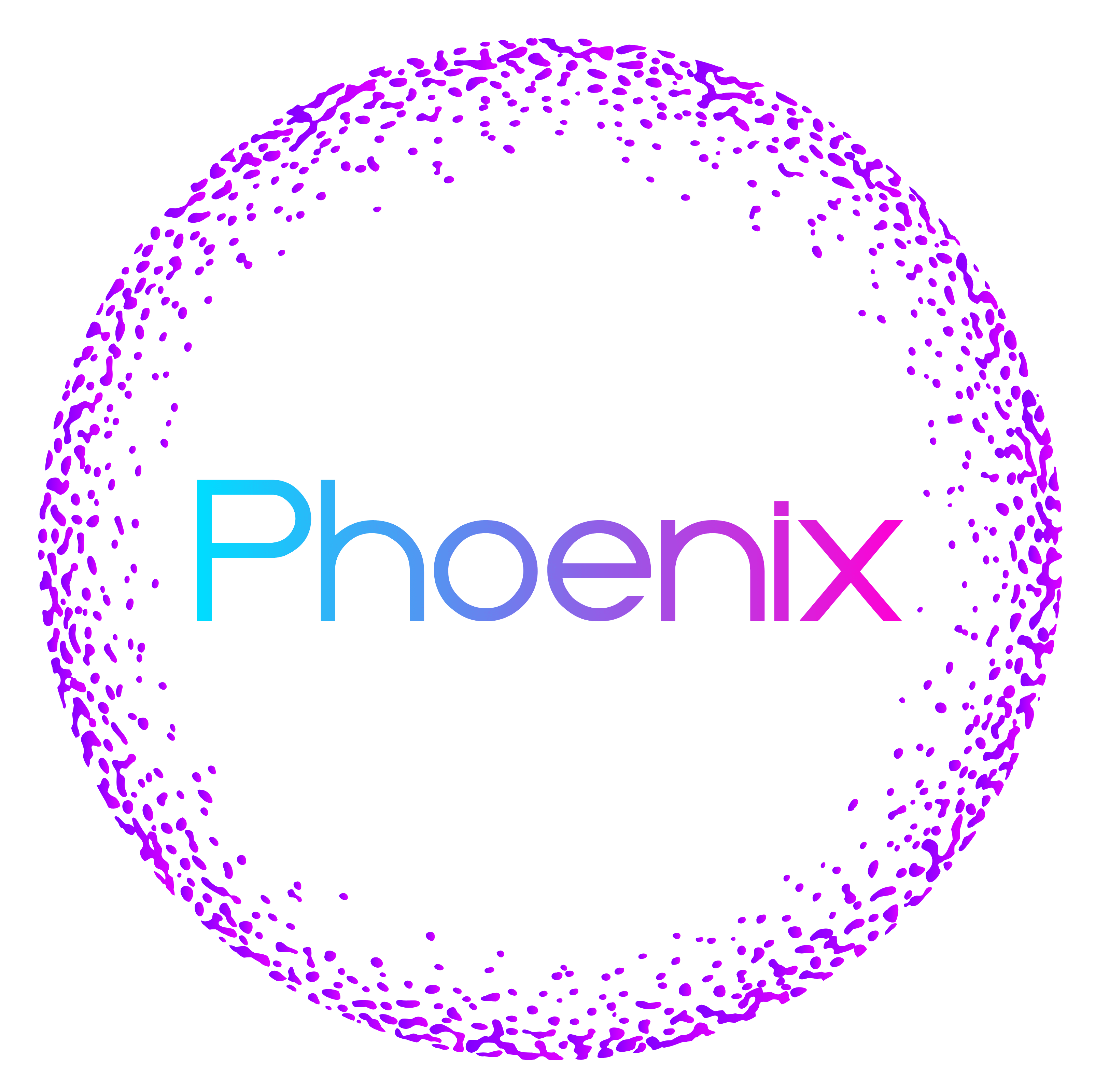 phoenixss.com.au